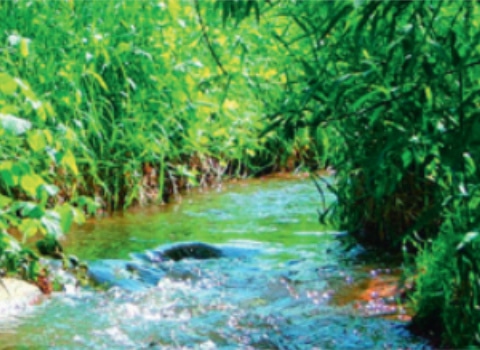 praxisin-umweltschutz